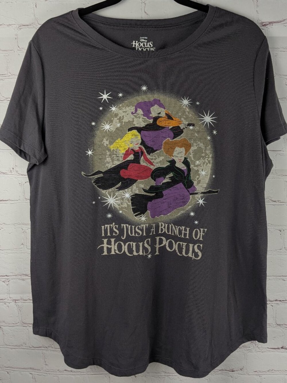 Disney Hocus Pocus Flying Witches Graphic Tee L